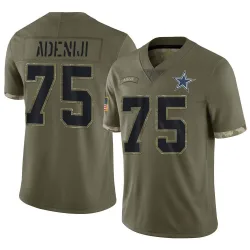 Men's Hakeem Adeniji Dallas Cowboys No.75 Limited 2022 Salute To Service Jersey - Olive