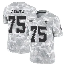 Men's Hakeem Adeniji Dallas Cowboys No.75 Limited 2024 Salute to Service Jersey - Arctic Camo