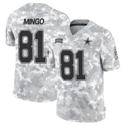 Men's Jonathan Mingo Dallas Cowboys No.81 Limited 2024 Salute to Service Jersey - Arctic Camo
